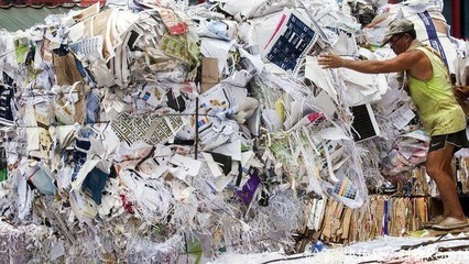 洋垃圾回收日入3萬？大連查獲195噸扇貝殼，拒收4年為何屢禁不止